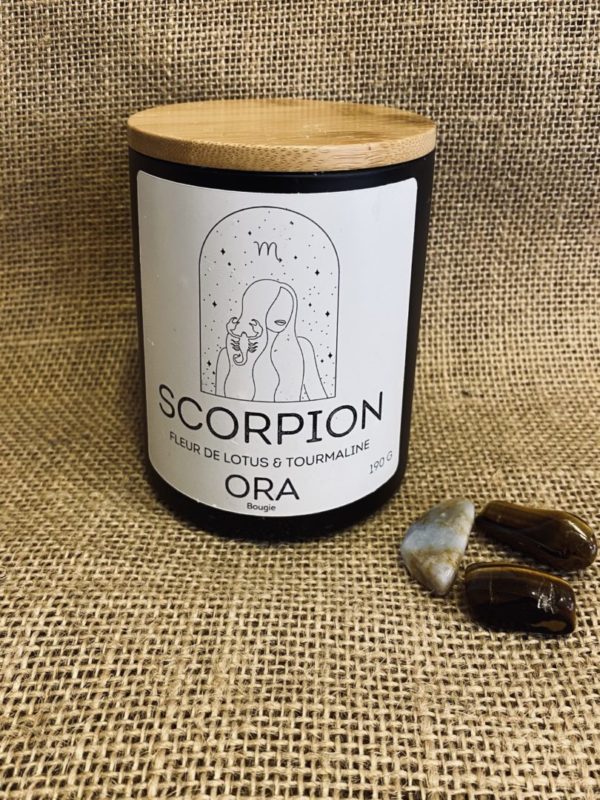 scorpion - Scorpion